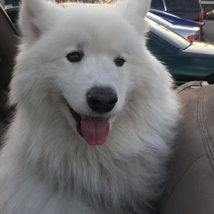 Meet your Posher, Lexie